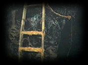 006 Ladder